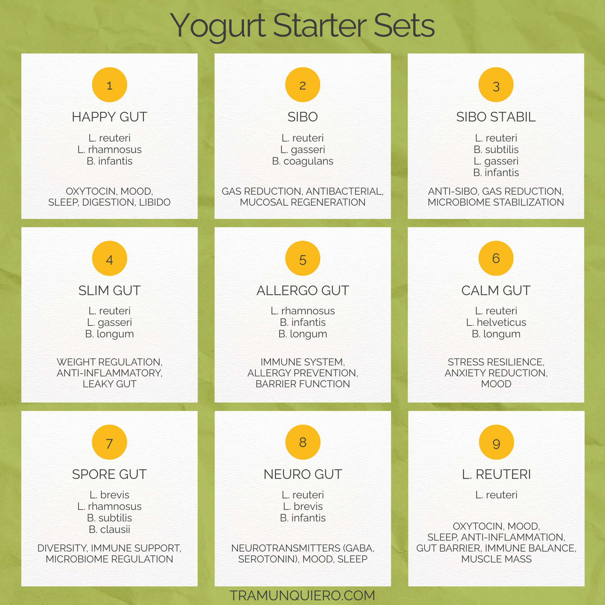 Starter Set L. reuteri, L. gasseri, B. coagulans Yogurt | SIBO Yogurt 
